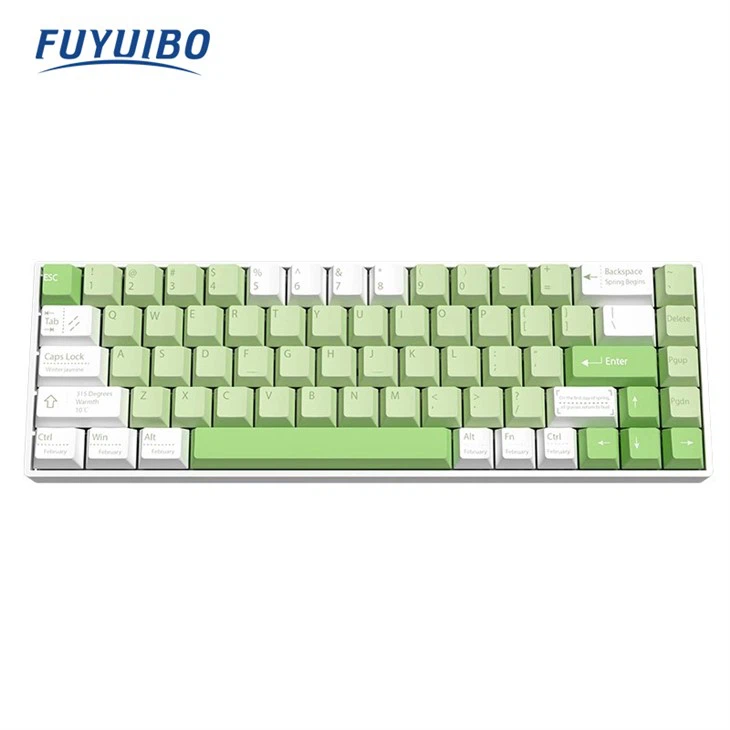 Gaming Mechanical Keyboard